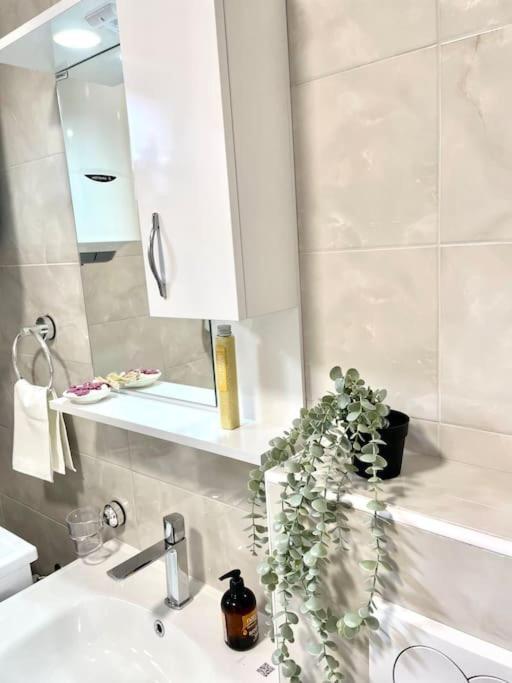 Apartman Dolcerosa 코토르 외부 사진